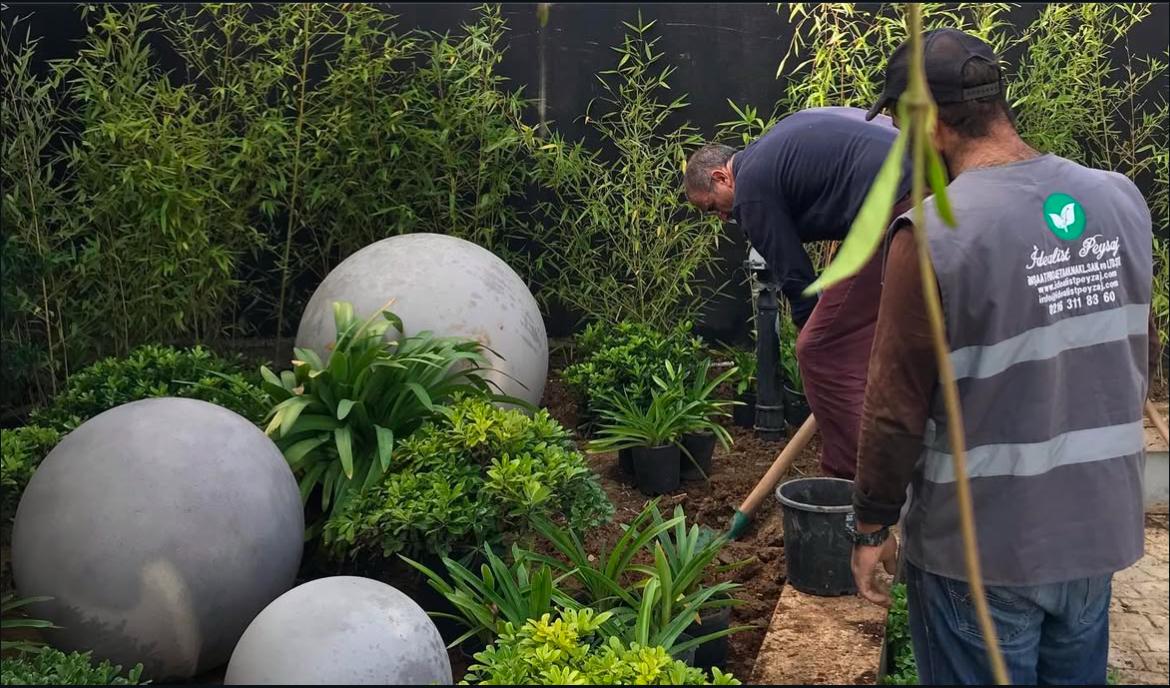 Peyzaj Uygulama ve Bakım